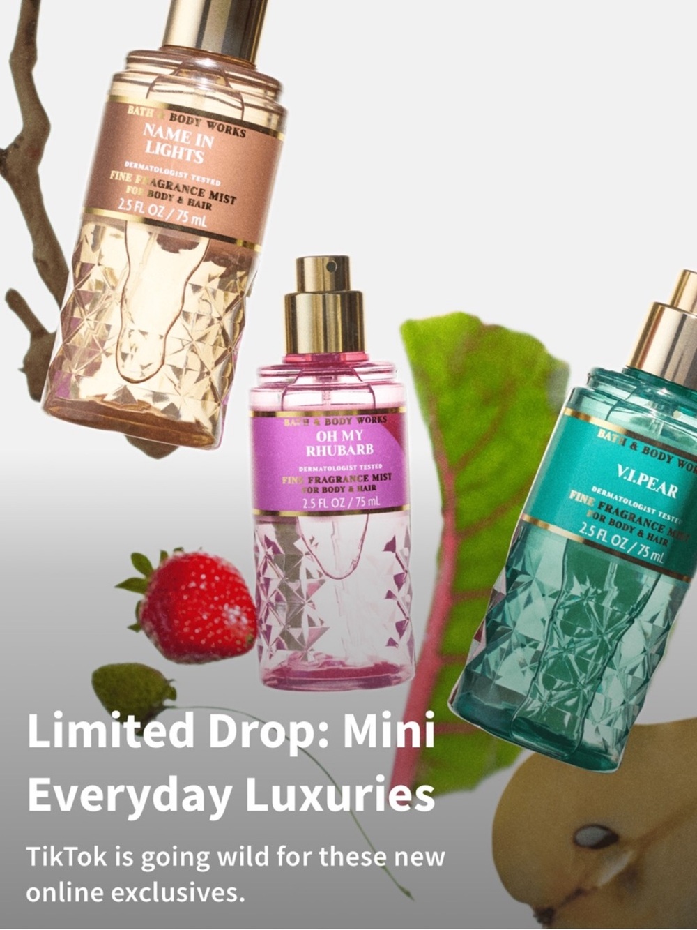 3X LIMITED RELEASE BBW Mist
V.I.PEAR OH MY RHUBARB NAME IN LIGHTS Collection - Picture 3 of 11